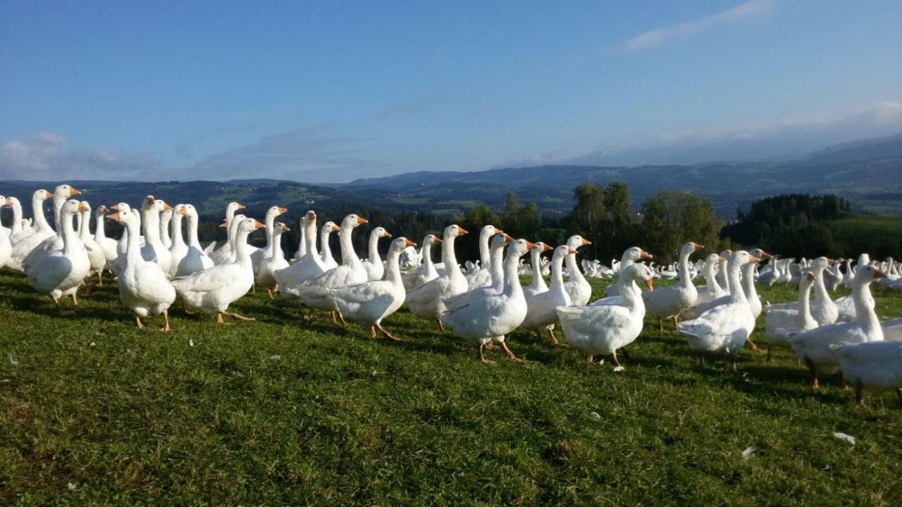 Lindlhof Fam. Taferner Villa Sankt Andra  Bagian luar foto